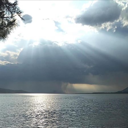 Solis Adriaticum Apartments Jasenice  Bagian luar foto